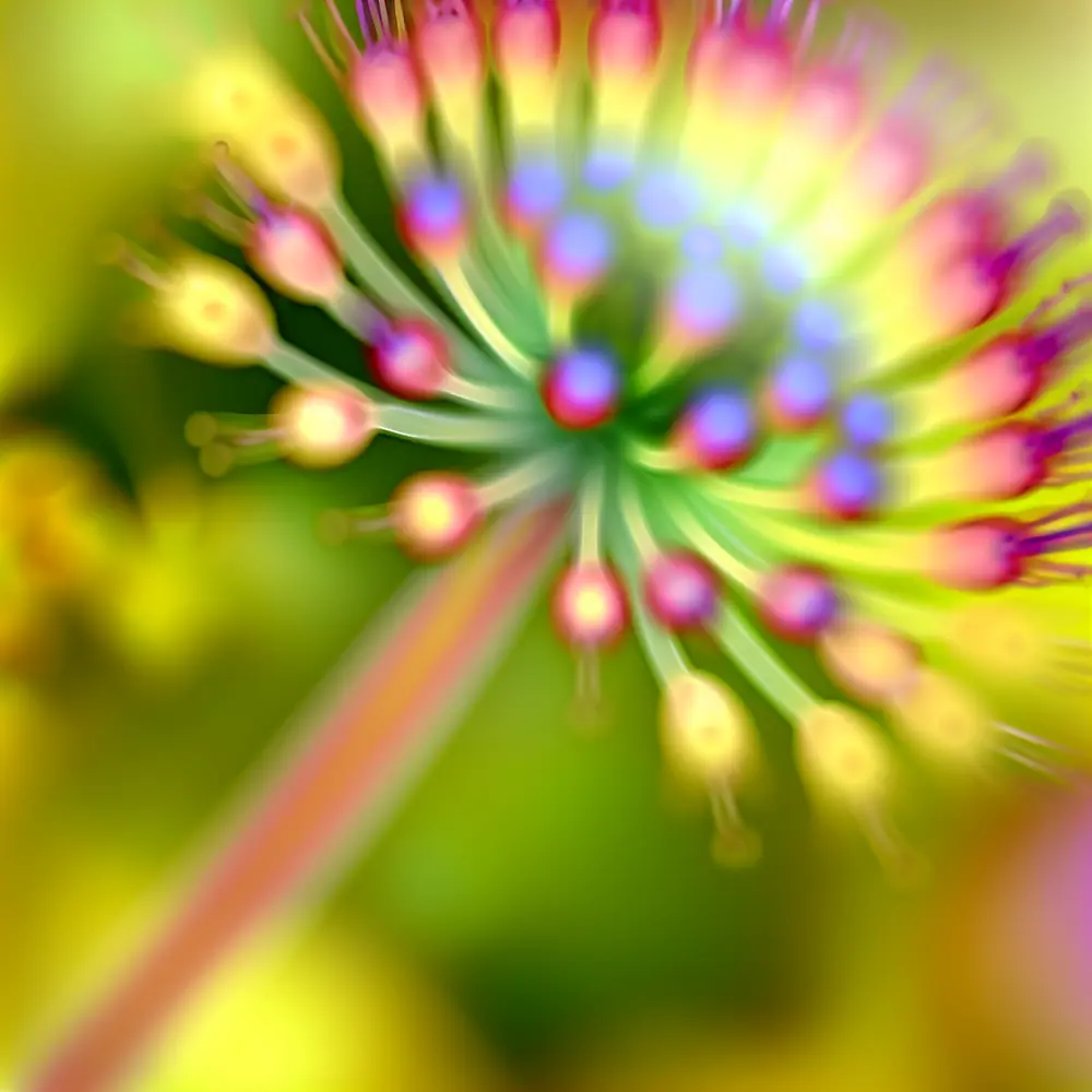 Flor do Signo de Virgem: Saiba tudo Sobre!