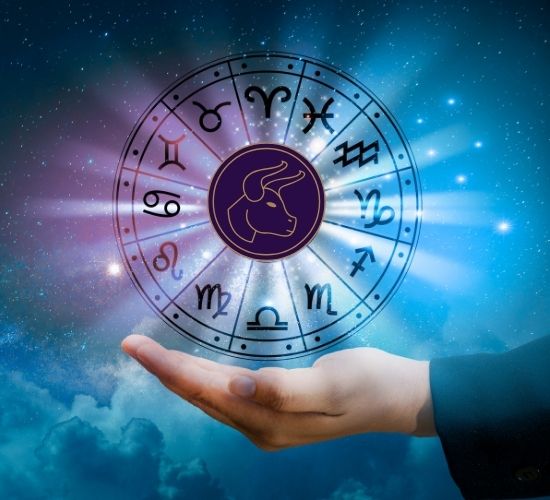 Touro no Trabalho As Profissões Ideais para um Taurino