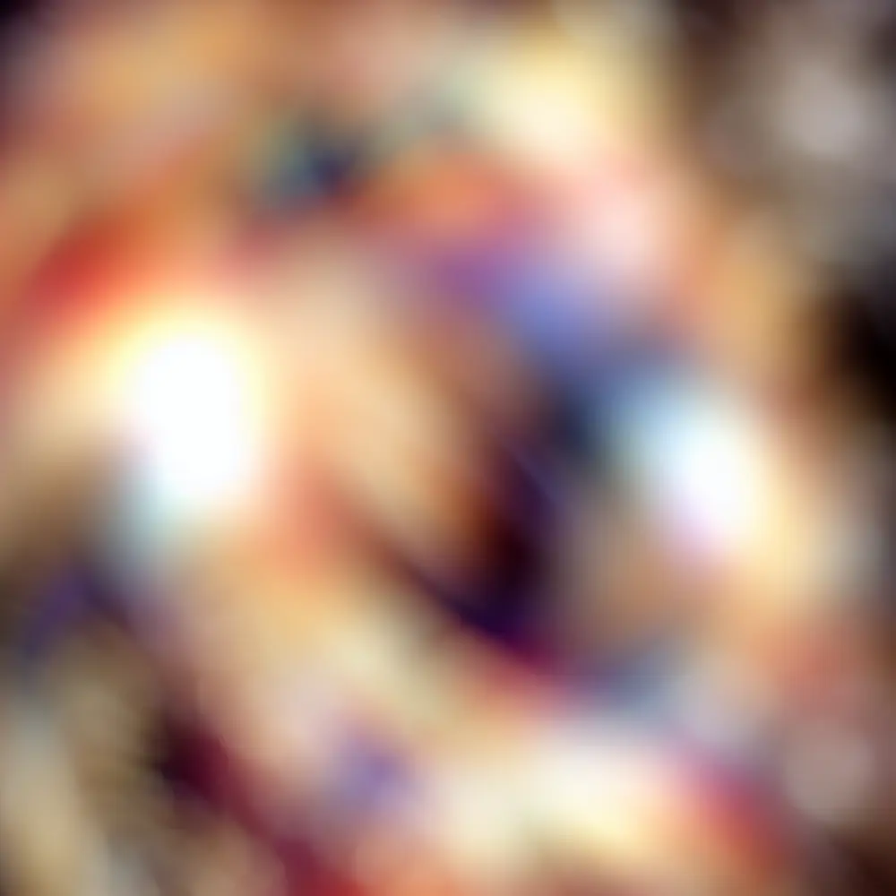 Qual o Signo de Quem Nasceu em 1 de Janeiro?