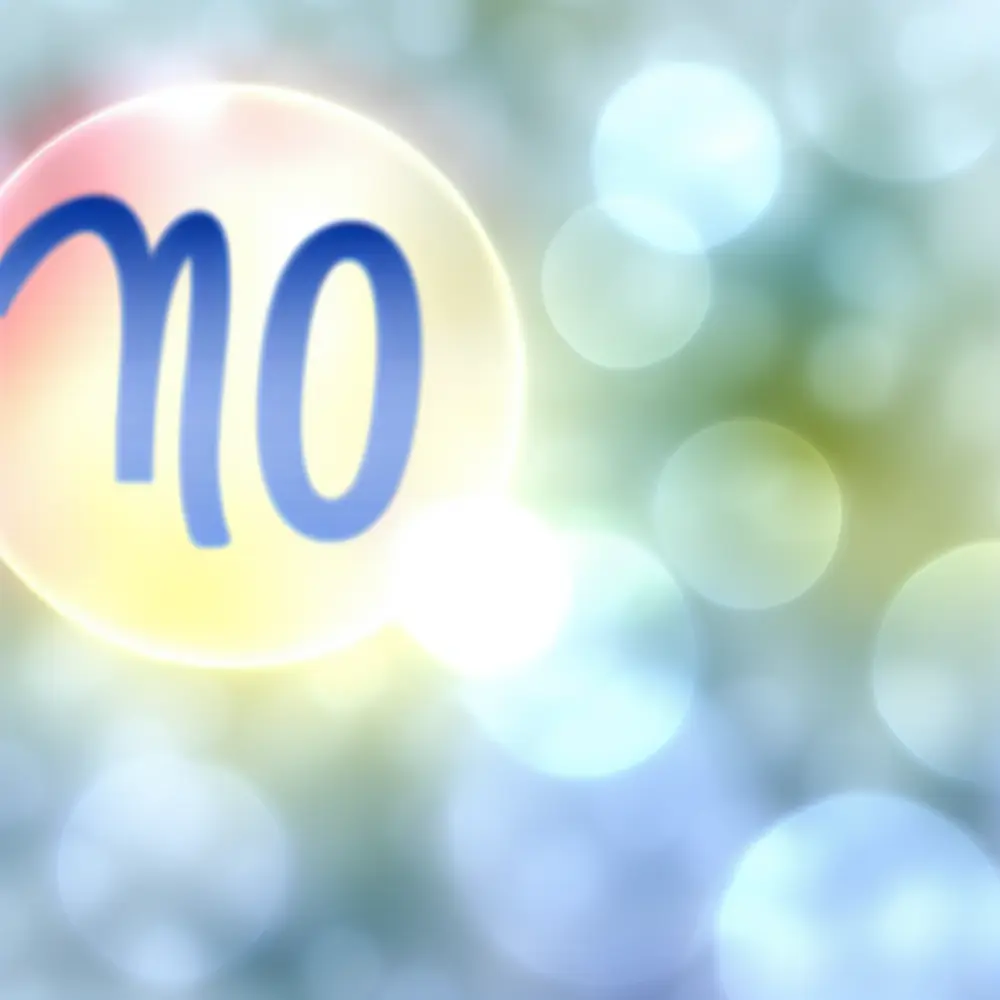 Qual o Signo de Quem Nasceu em 10 de Dezembro?