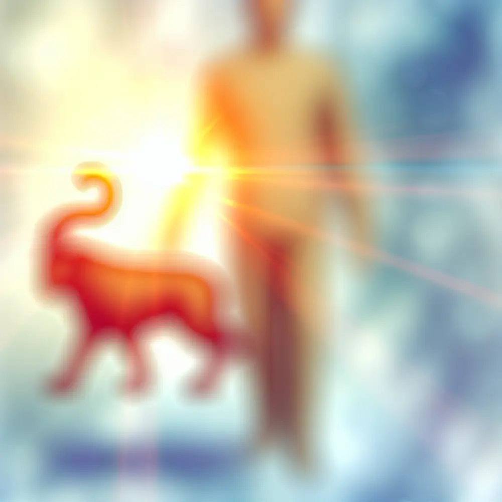 Qual o Signo de Quem Nasceu em 10 de Janeiro?