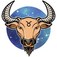 HORÓSCOPO DO DIA PARA TOURO